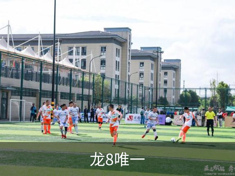 龙8唯一介绍